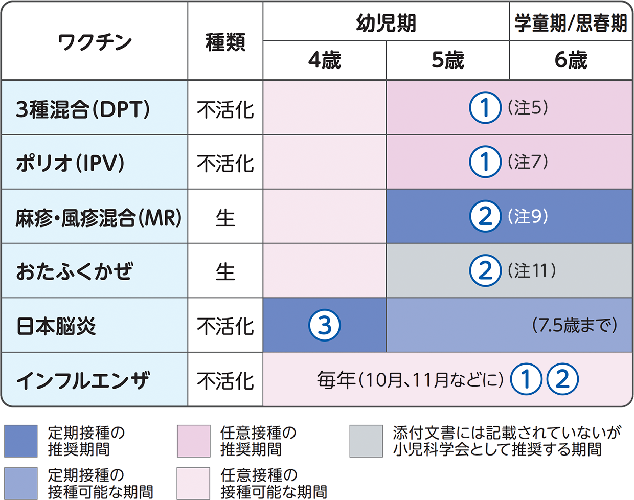 4～6歳での予防接種スケジュール