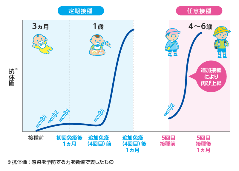 不活化ポリオワクチン摂取と抗体価の変化（イメージ）